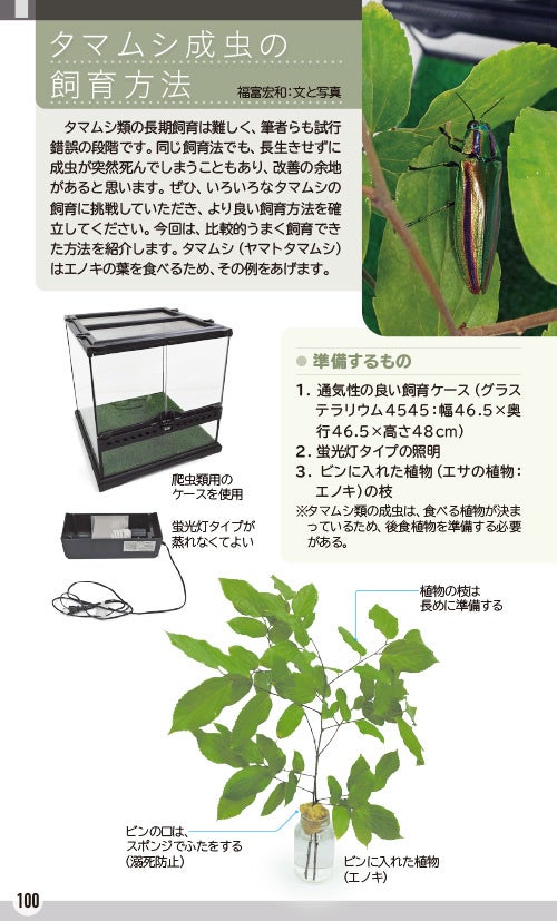 森の宝石と称される美しい昆虫「日本産タマムシ」の識別図鑑、本日発売