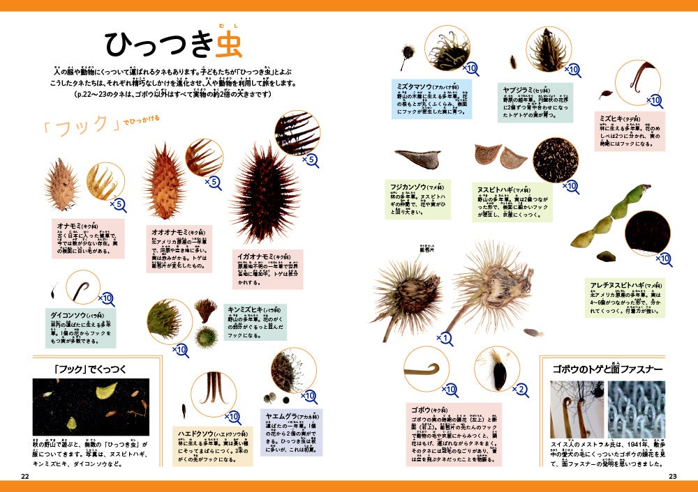 タネに秘められた植物の知恵と工夫を大公開!写真絵本【旅するタネの図鑑】発売!|株式会社 文一総合出版のプレスリリース タネに秘められた植物の知恵と工夫を大公開!写真絵本【旅するタネの図鑑】発売!|株式会社 文一総合出版のプレスリリース