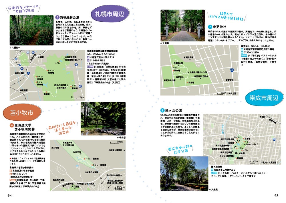 シマエナガに出会えるかも！？おすすめの探鳥地も紹介