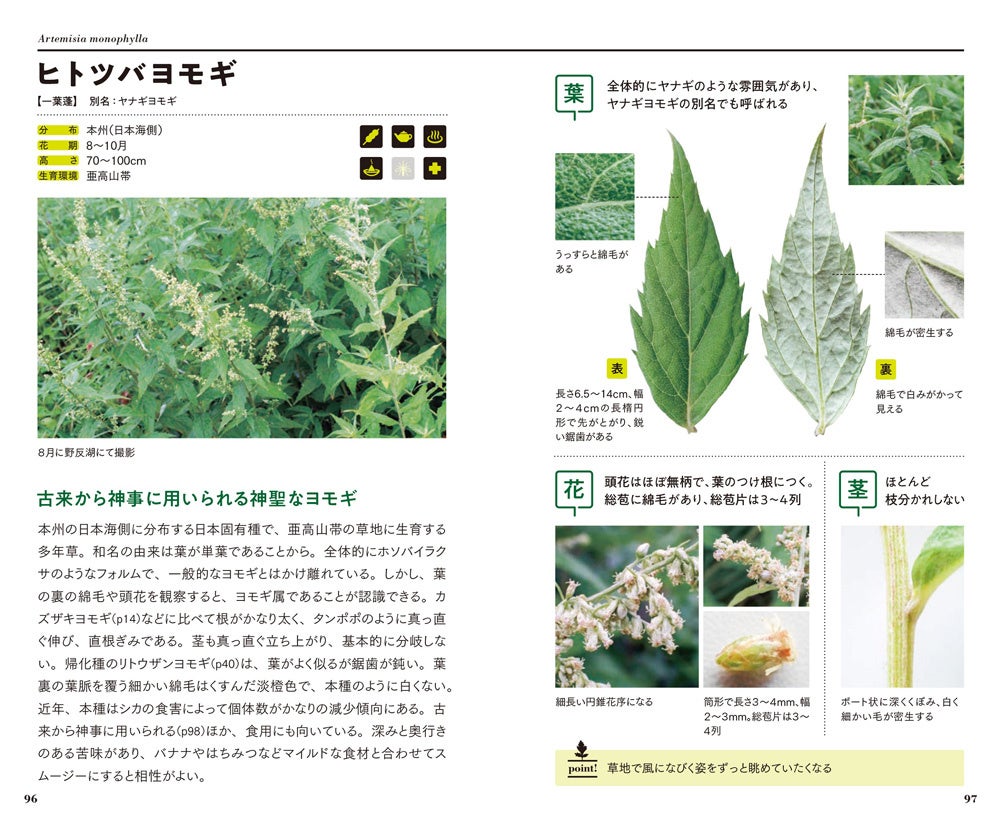 発売前に重版決定］日本初、ハーブの女王「ヨモギ」だけを紹介する図鑑
