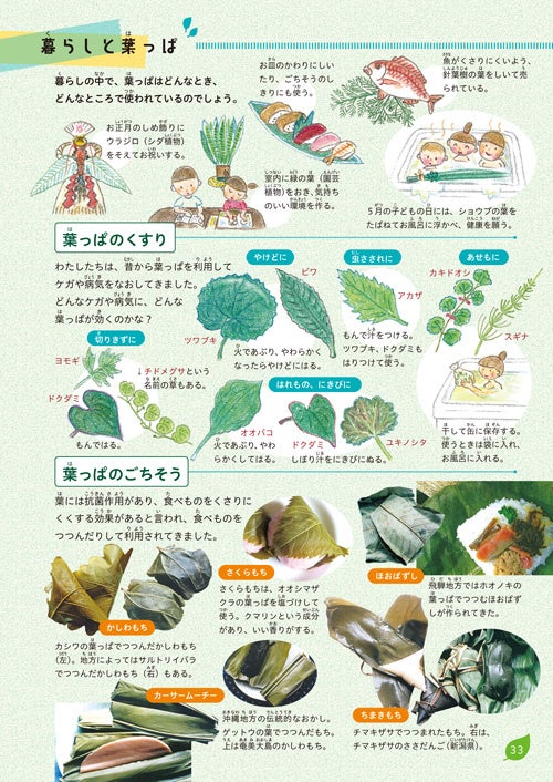 知ってる葉っぱ、いくつあるかな？』130種以上の身近な植物の葉を