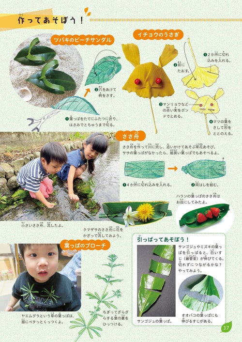 近所に生えてた葉っぱです 暑い日が続いていますが、多肉植物たちも少しづつ増えてきています
