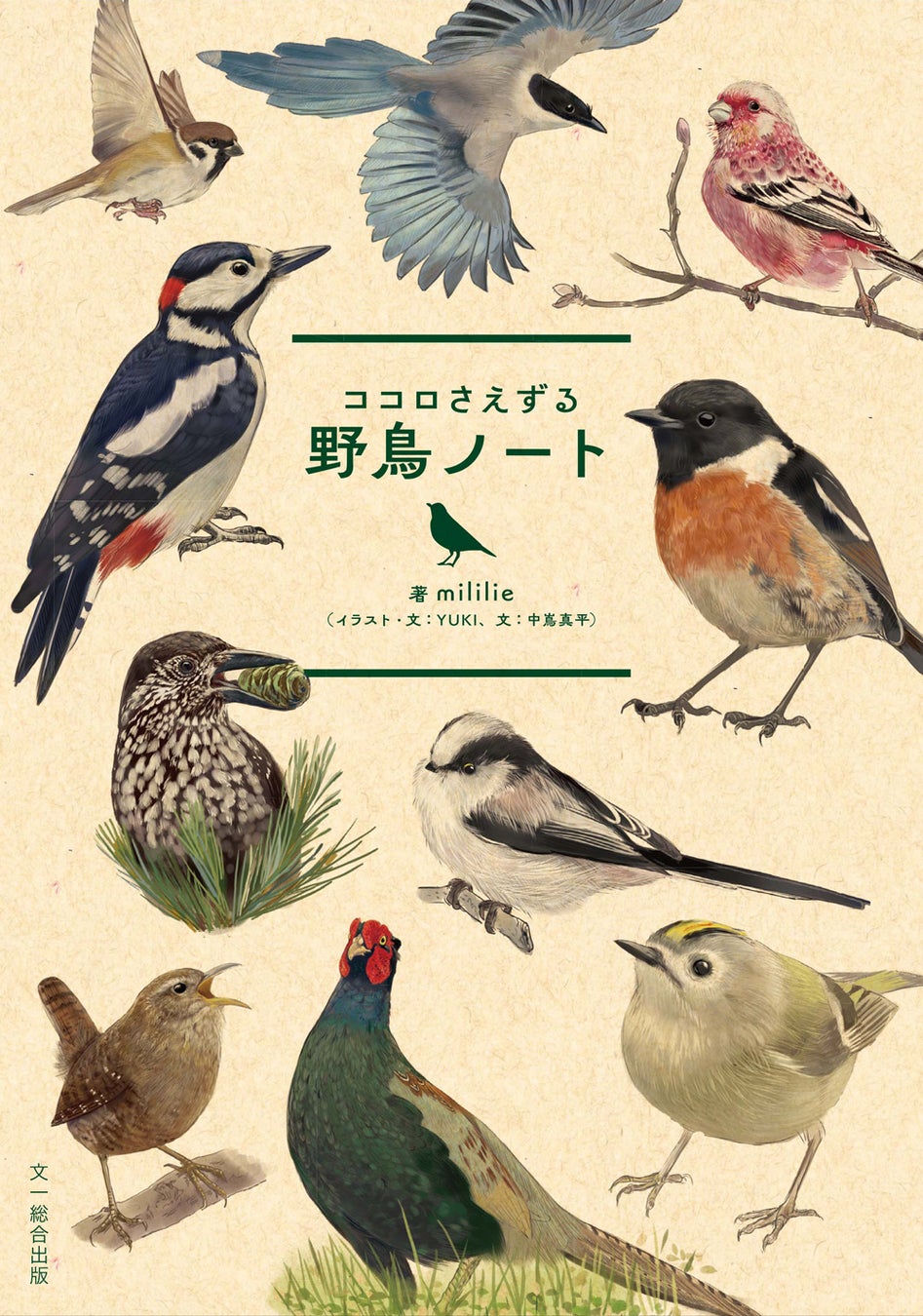 かわいい野鳥イラスト100種！鳴き声も聞ける『ココロさえずる野鳥ノート』2024年発売