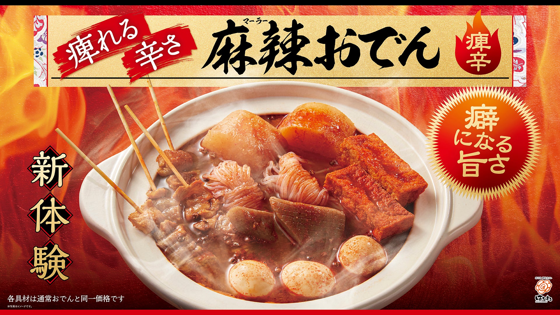 活動歴および当時の関連ビジュアル記録