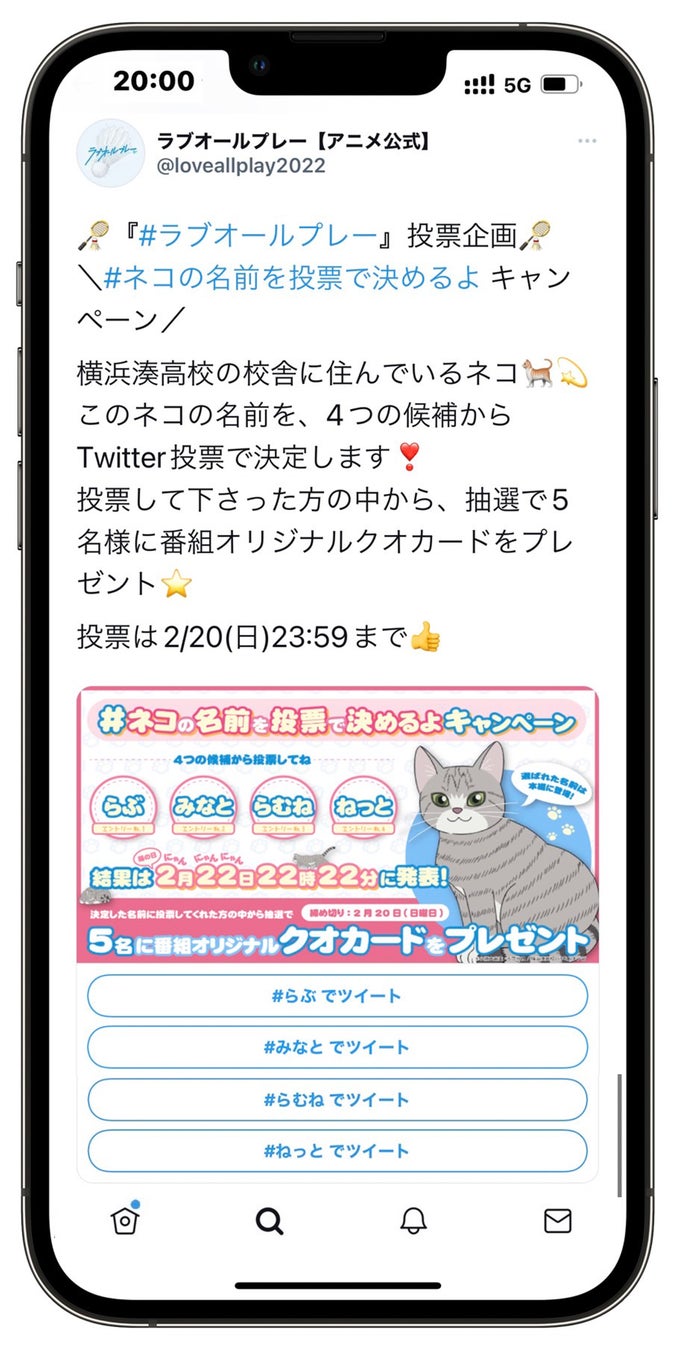 Ownlyを活用し 読売テレビの22年4月2日放送開始 ラブオールプレー でtwitterキャンペーン ネコの名前 を投票で決めるよ を実施中 スマートシェア株式会社のプレスリリース Ownlyを活用し 読売テレビの22年4月2日放送開始 ラブオールプレー でtwitterキャンペーン ネコの名前 を投票で決めるよ を実施中 スマートシェア株式会社のプレスリリース