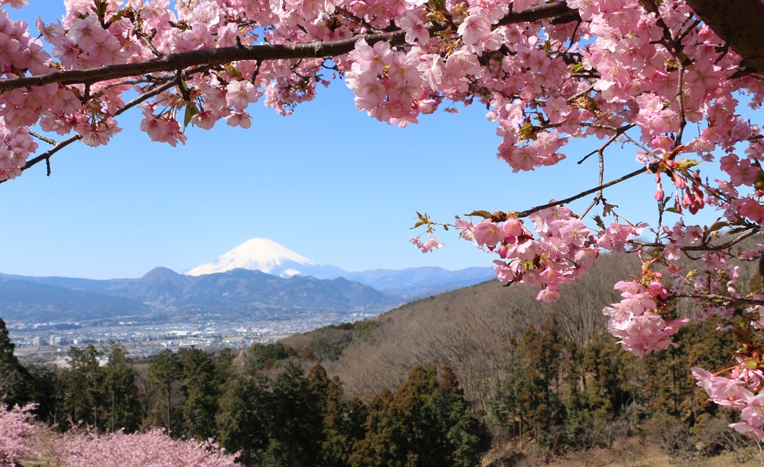 おおいゆめの里からの風景 春