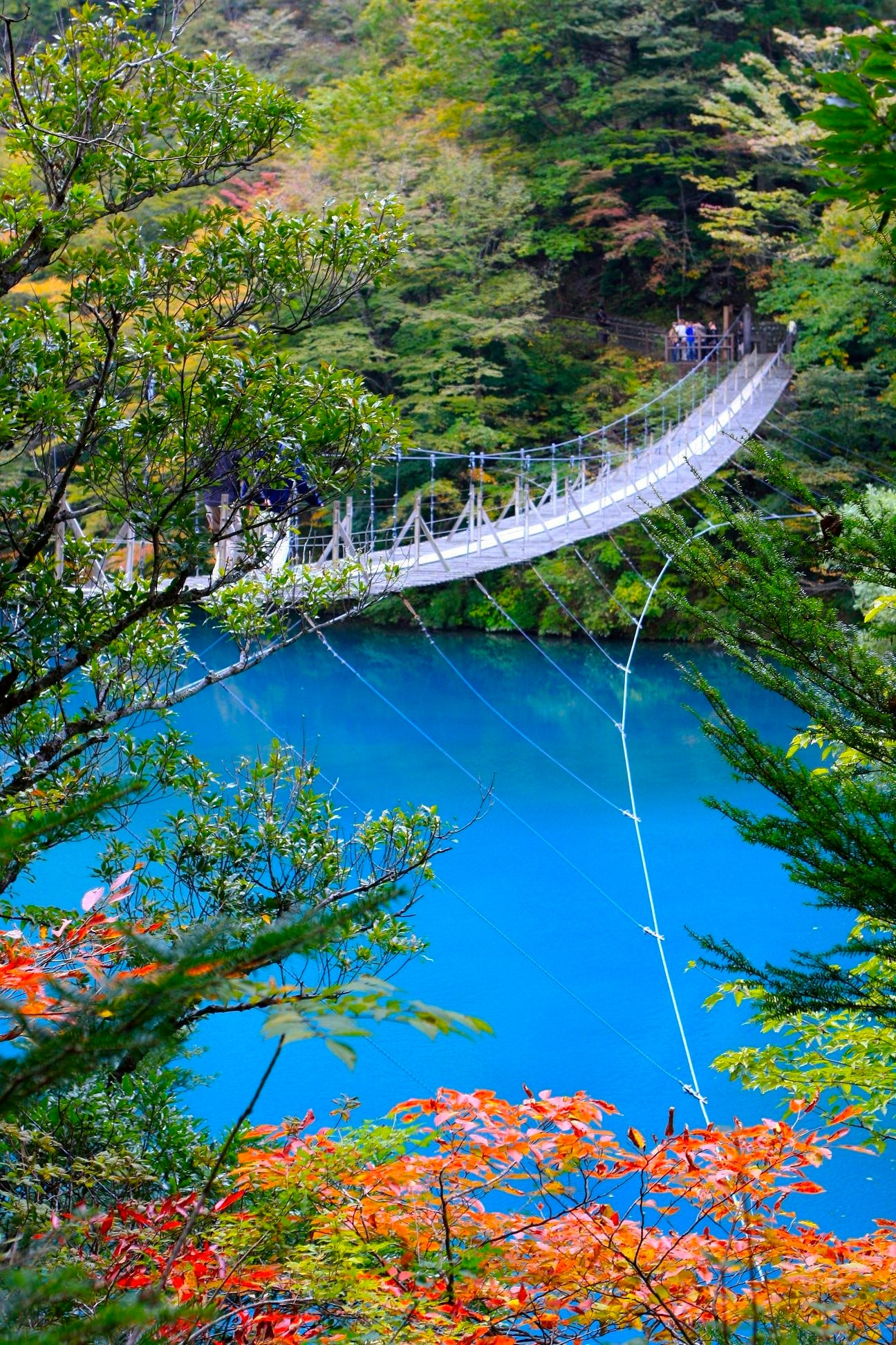 榛原郡三川根地区川根町・中川根町・本川根町 ２００２/ゼンリン（単行本） 榛原郡三川根地区川根町・中川根町・本川根町 2002/ゼンリン