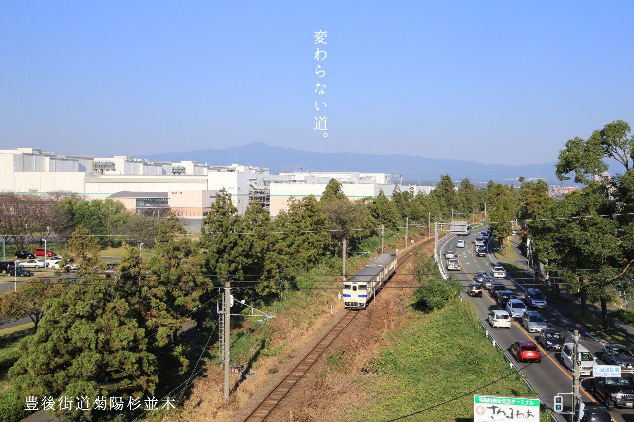 古くから人とモノが行き交う「豊後街道豊後街道菊陽杉並木」と豊肥本線