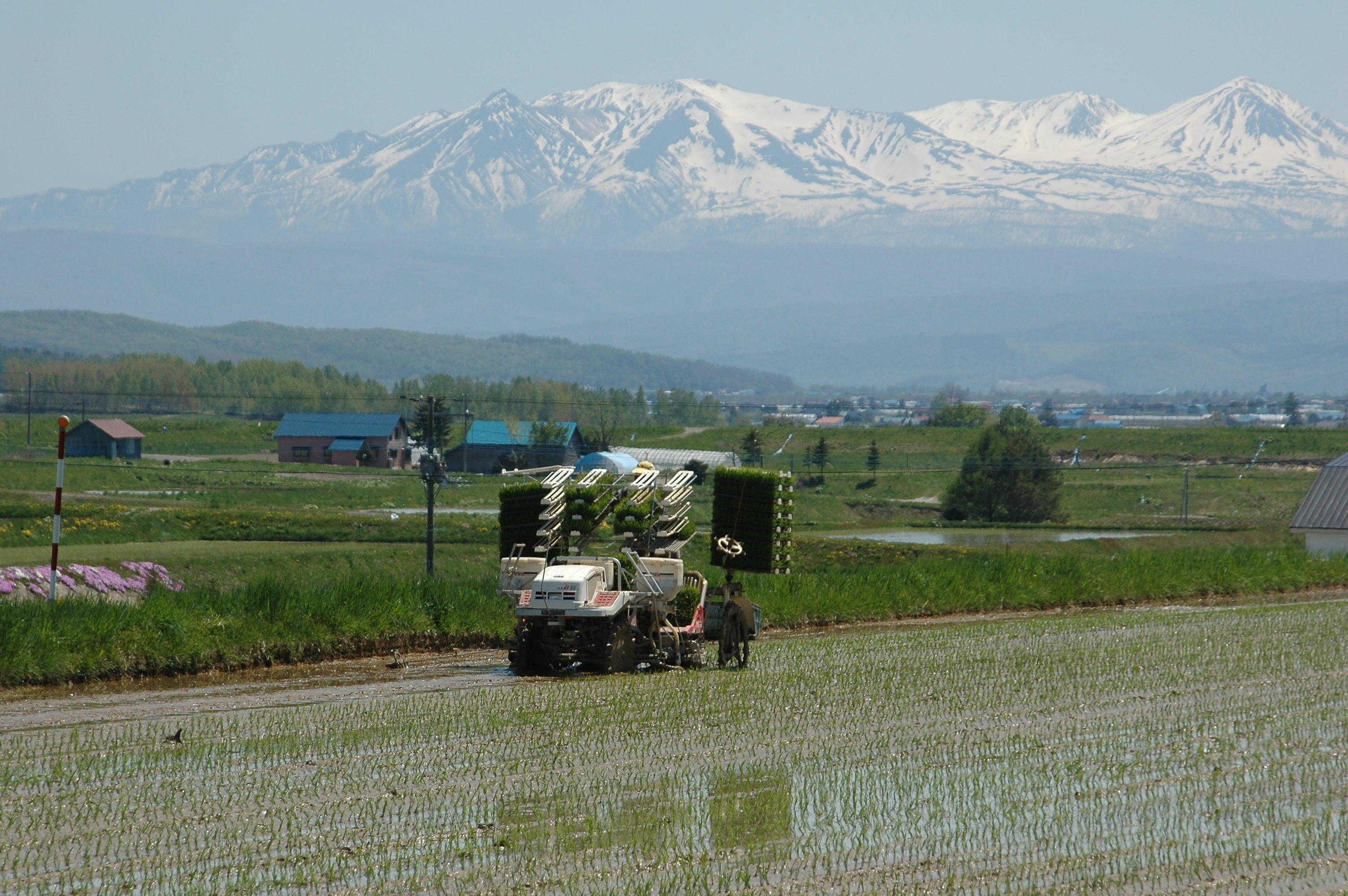 美しい自然に囲まれた土地と、のどかに広がる田畑。道内屈指の米どころ 鷹栖町