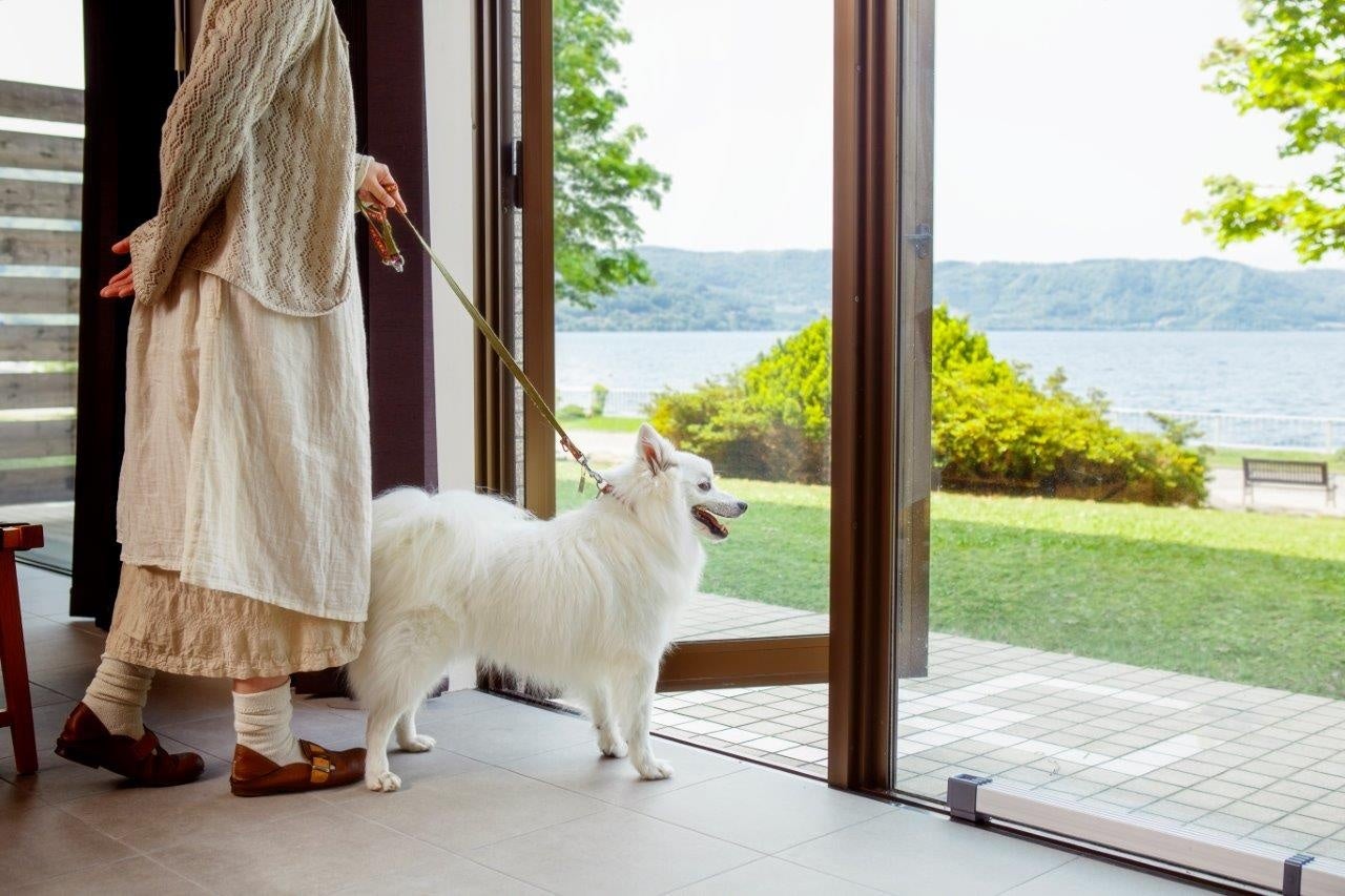 お部屋から湖畔沿いに出てお散歩もできます。