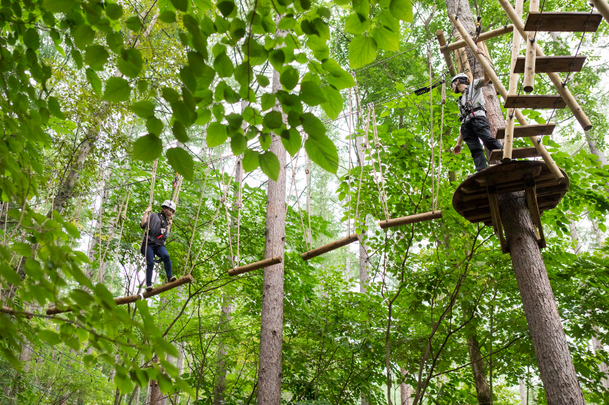 屋外アスレチック「ムササビ」