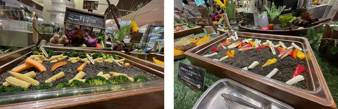 ミニ野菜畑コーナーの野菜もちょっぴり変わりました