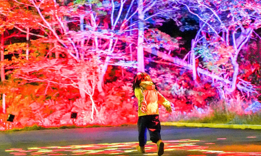 インタラクティブプログラムも楽しい！