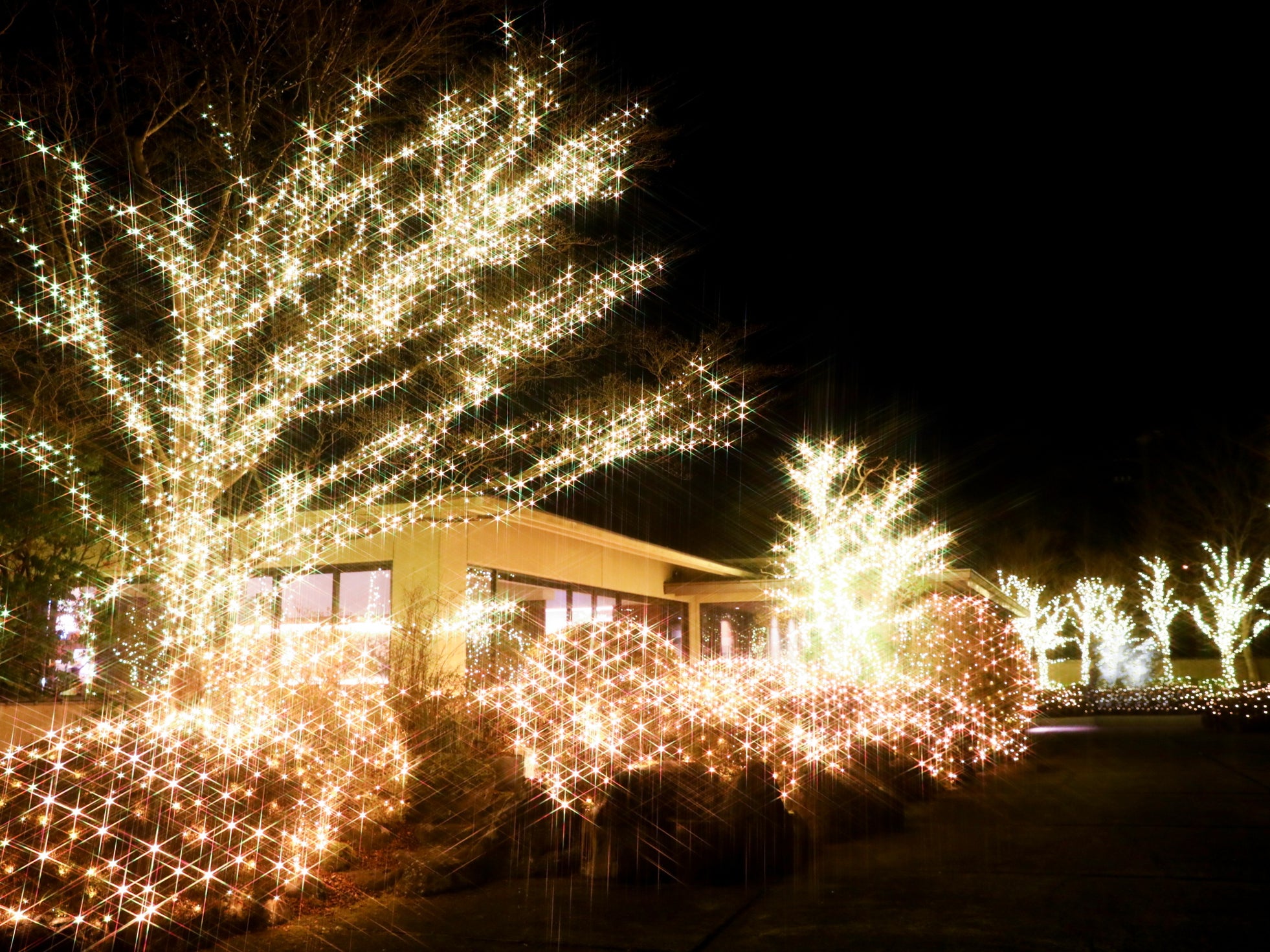 【ウィンターイルミネーション&クリスマス企画】ハイクラスなおもてなしで特別な時間を<静かな仙石原で>