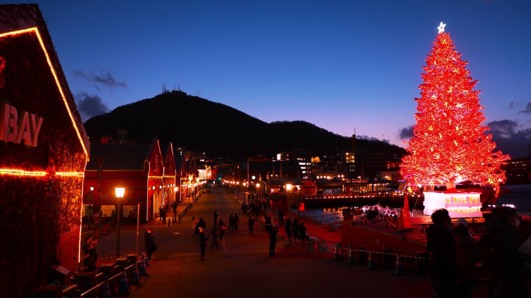 【函館×冬旅】夕食1泊分無料！海鮮バイキング付き連泊プラン販売開始｜HAKODATE海峡の風