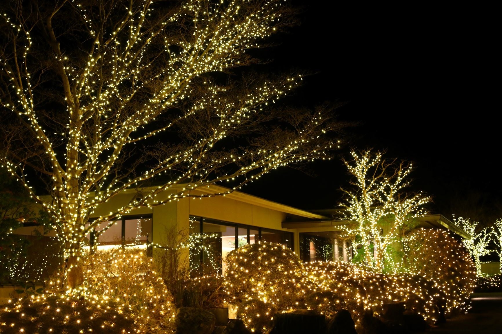 箱根きたの風茶寮 イルミネーション企画22 野口観光マネジメント株式会社のプレスリリース