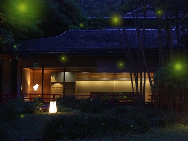 夜の庭園を舞う蛍