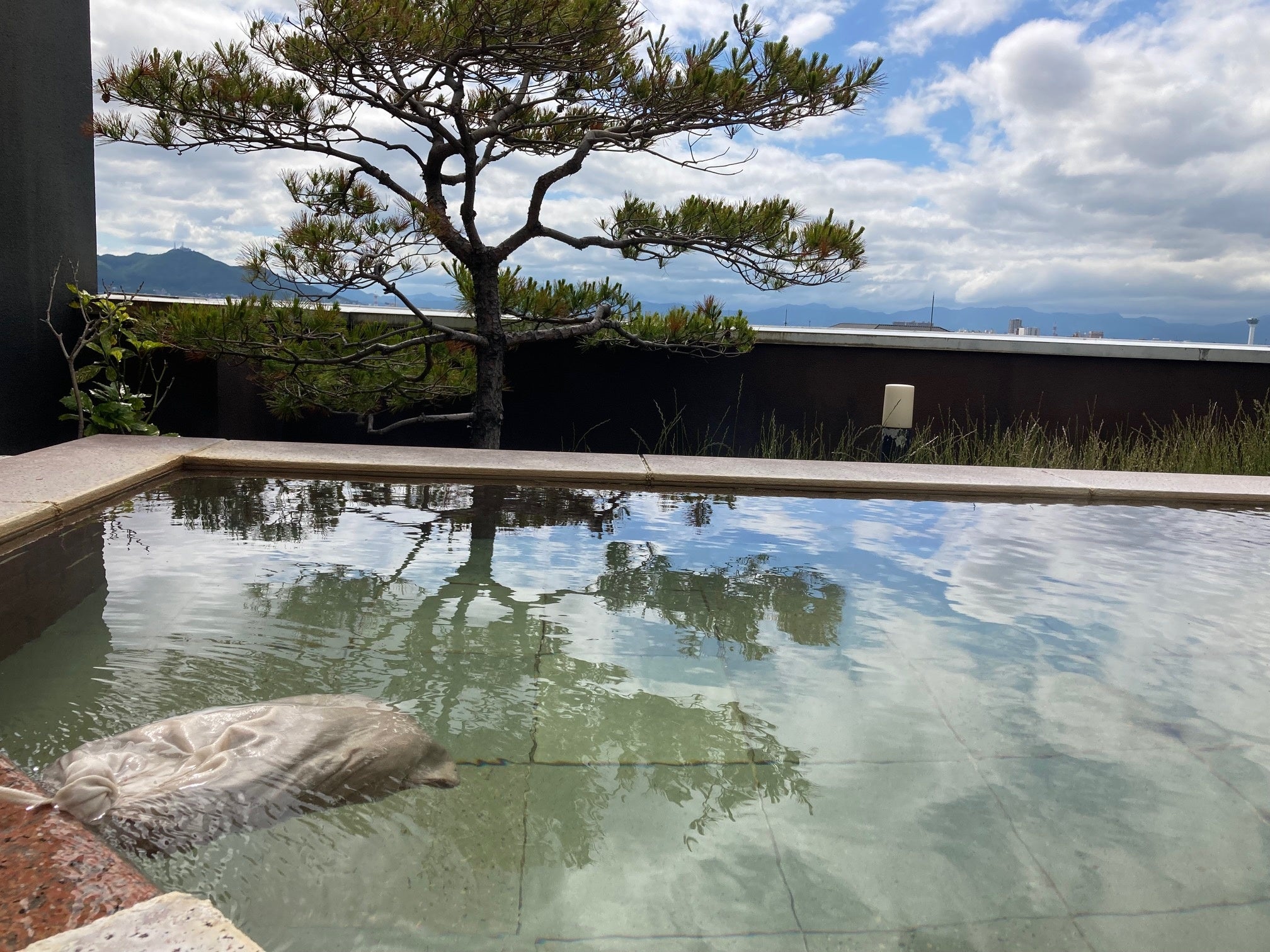 露天風呂にはどくだみを浮かべてます