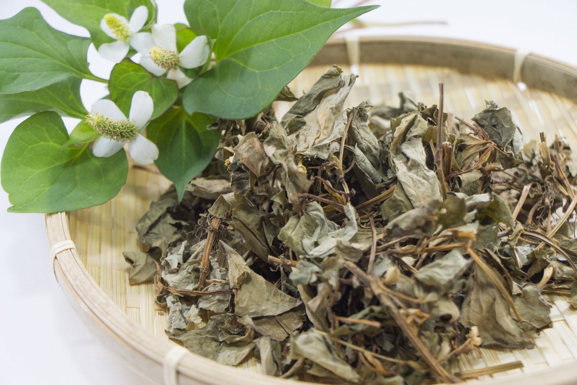 乾燥させたどくだみ