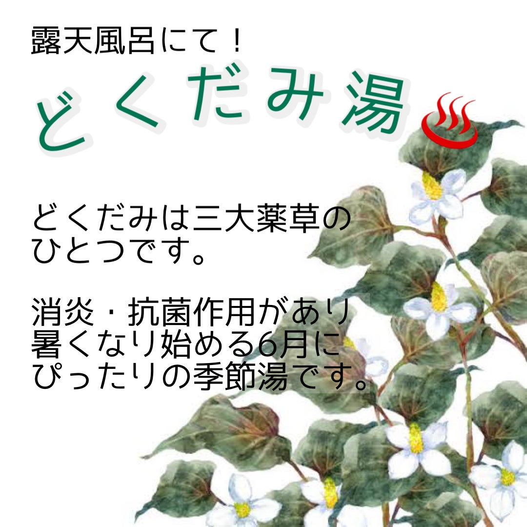 どくだみ湯の効能