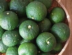 柑橘系の中でもビタミンCがトップ