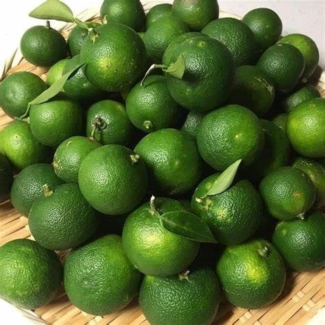 柑橘系の中でもビタミンCがトップクラス