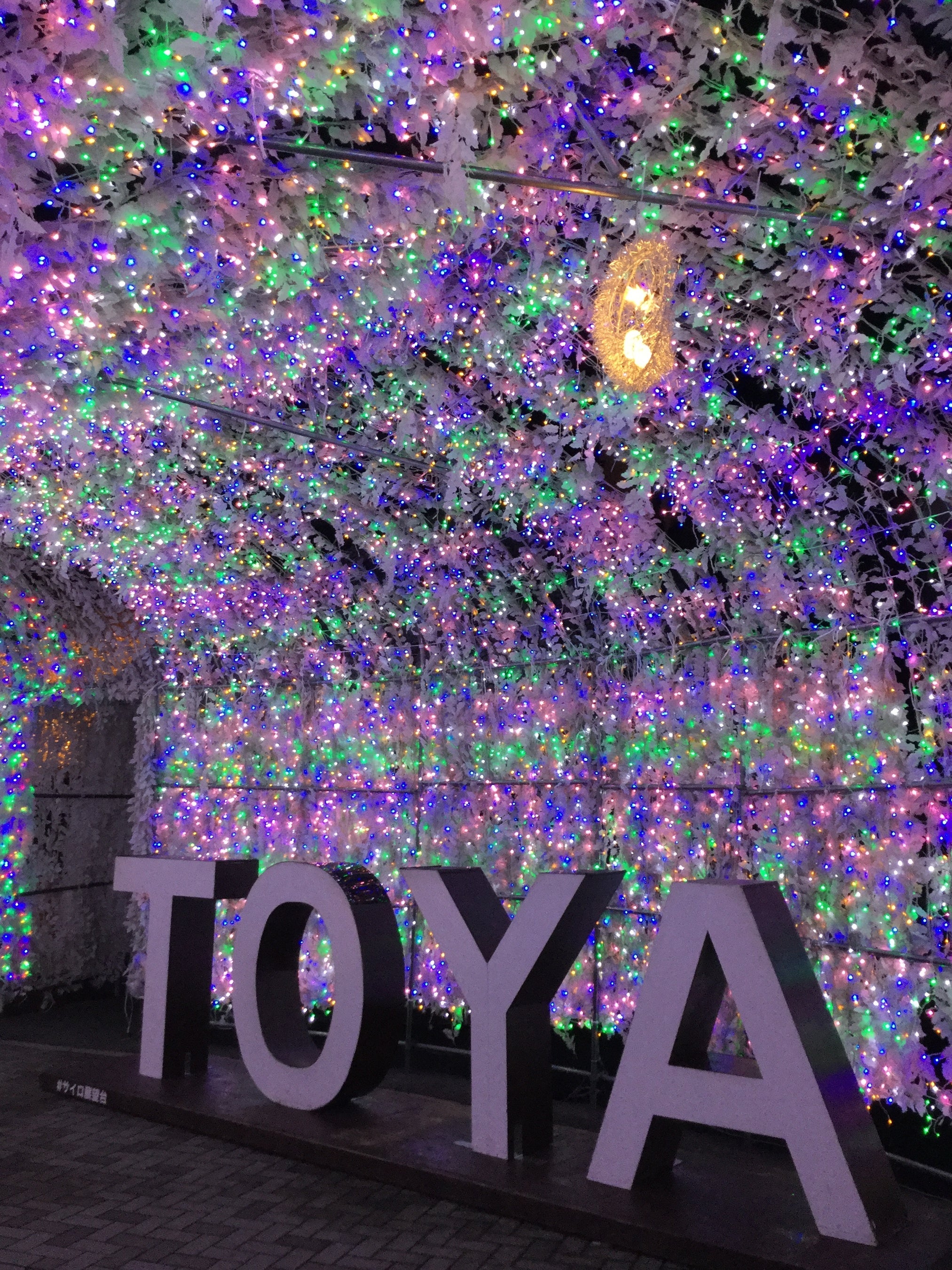 イルミネーショントンネルは11月1日より開始。