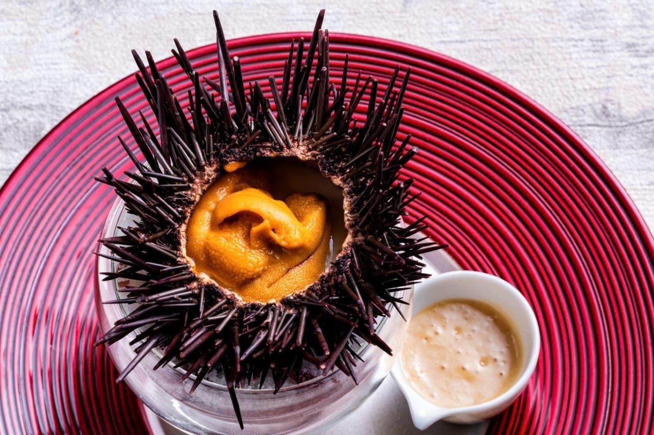 フレンチ懐石「すすめ肴」