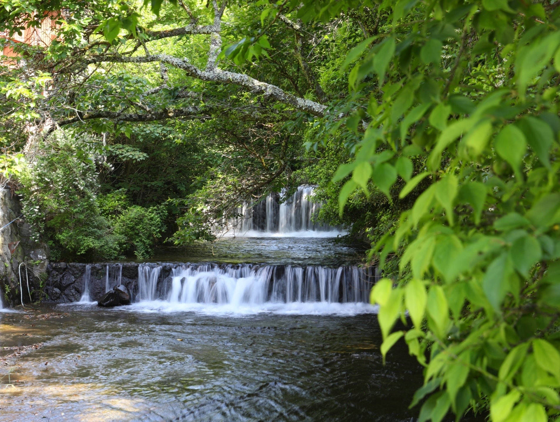 海石榴　散策路