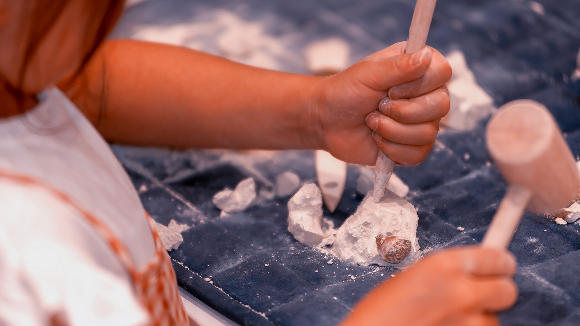 トレジャーハンター気分で化石を発掘！