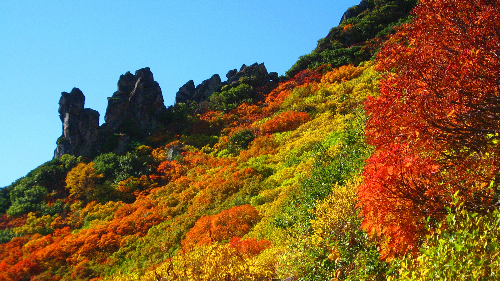 大雪山黒岳9合目のまねき岩