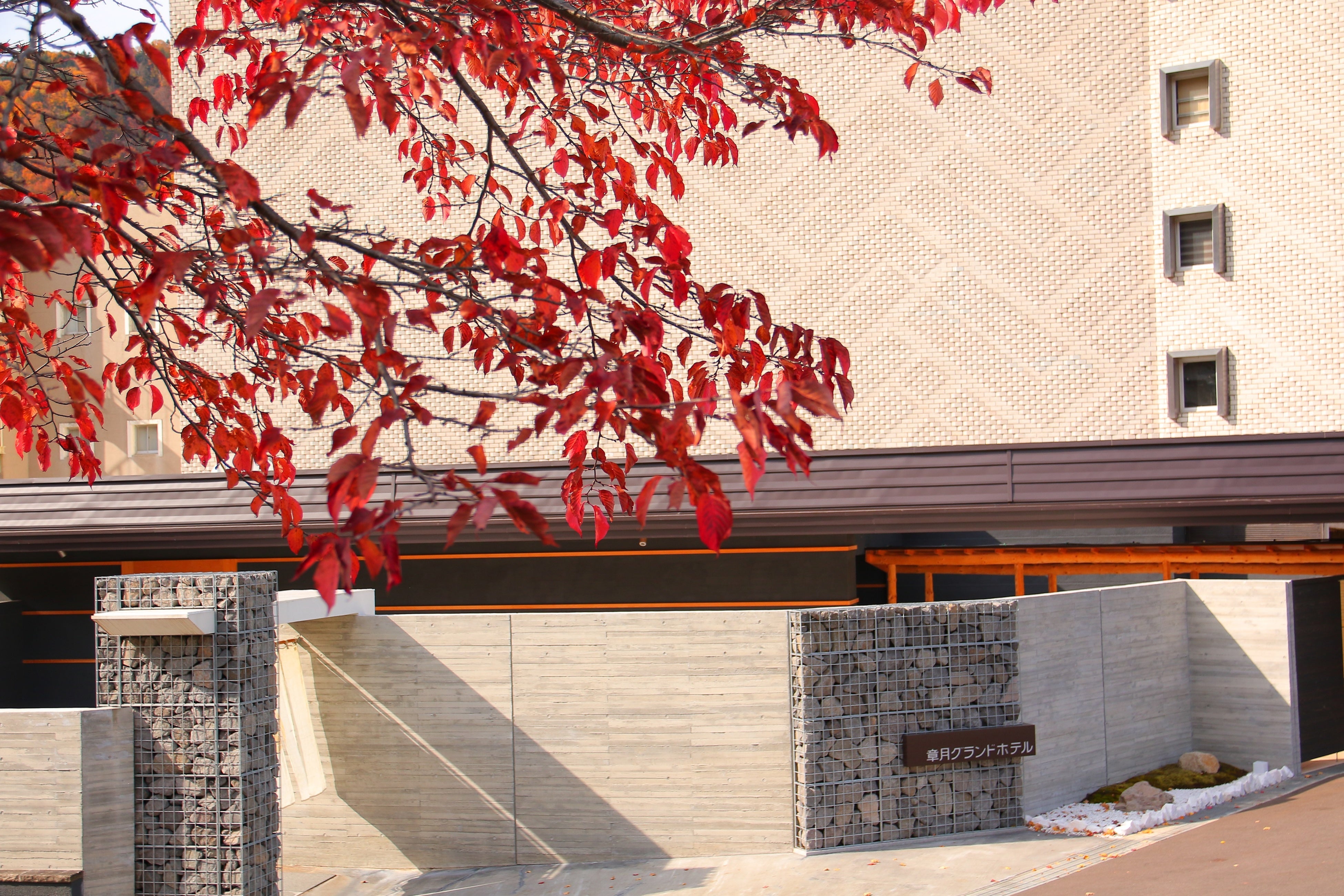 秋の外観イメージ