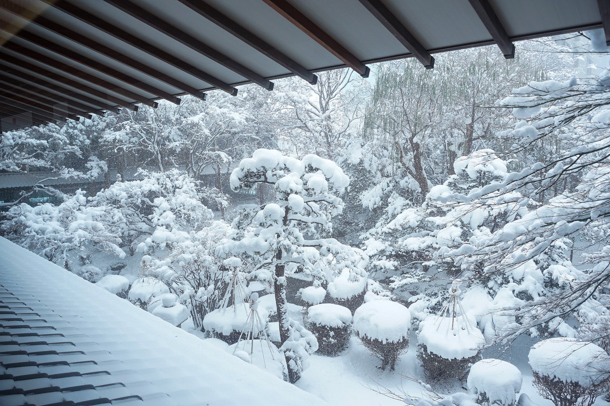 冬には雪に覆われた美しい庭園も見どころ