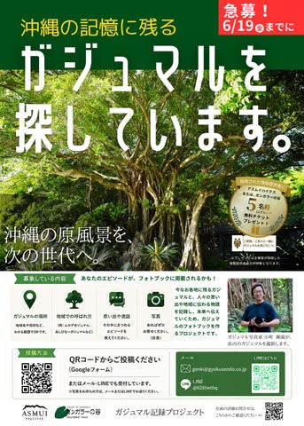 ガジュマル記録プロジェクト!あなたのおススメのガジュマルを教えて ガジュマル記録プロジェクト!あなたのおススメのガジュマルを教えて
