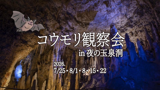 【沖縄】夏休み限定イベント『コウモリ観察会 in 夜の玉泉洞』 【沖縄】夏休み限定イベント『コウモリ観察会 in 夜の玉泉洞』