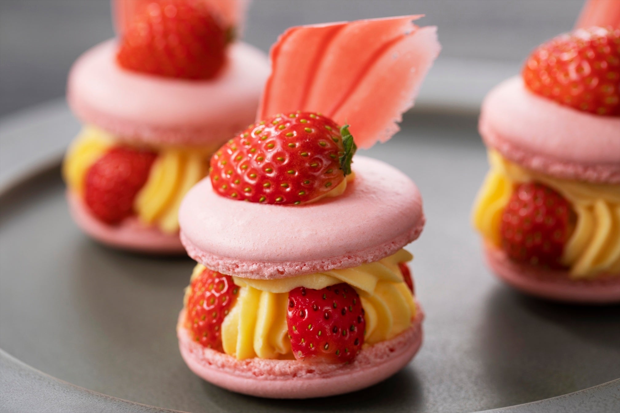 ※写真はイメージです