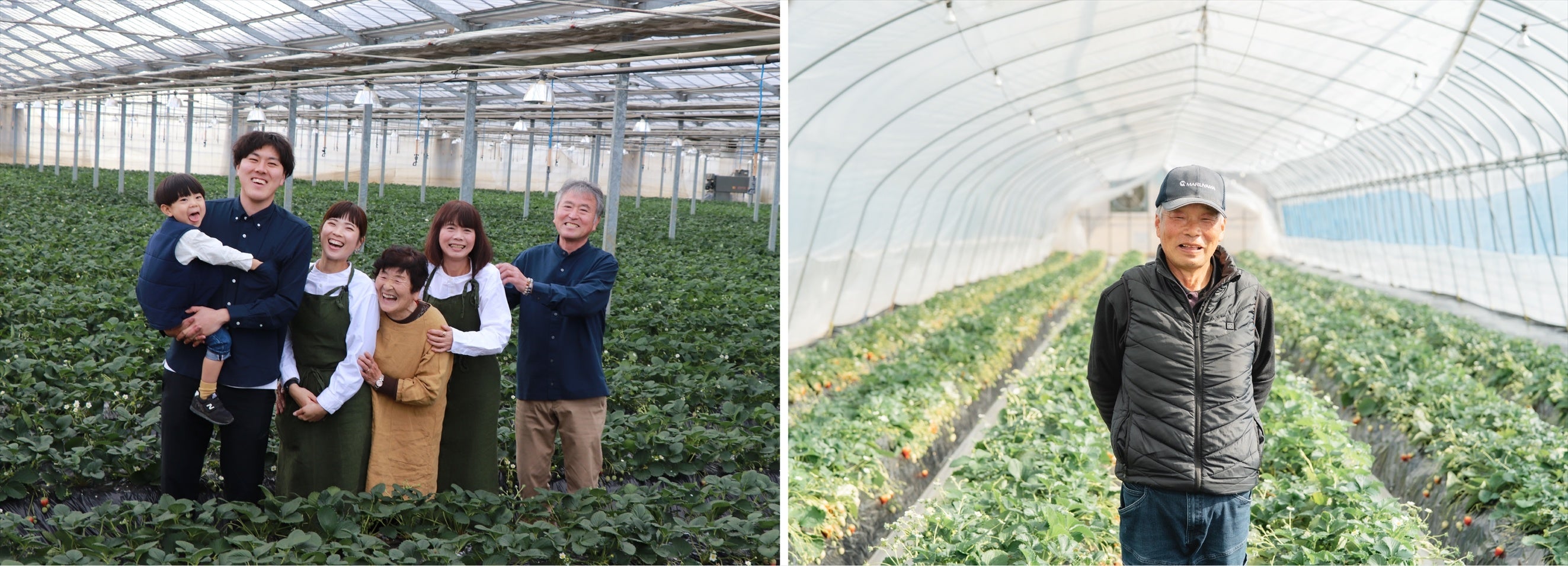 〈福島県鏡石町 いちご専門部会〉部会長　飛澤良男さん・良太さん ／ 副部会長　今泉均さん