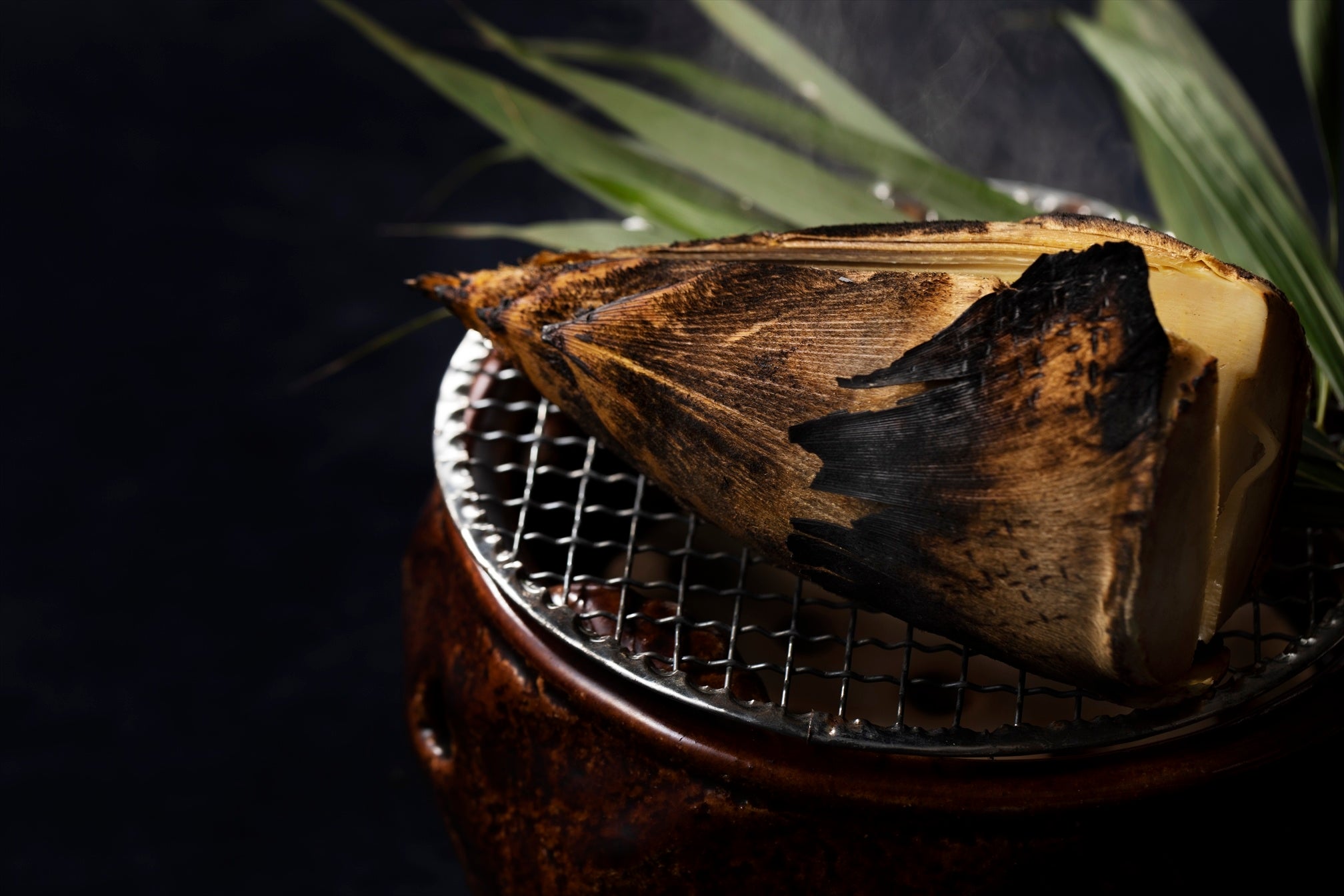 ※写真はイメージです