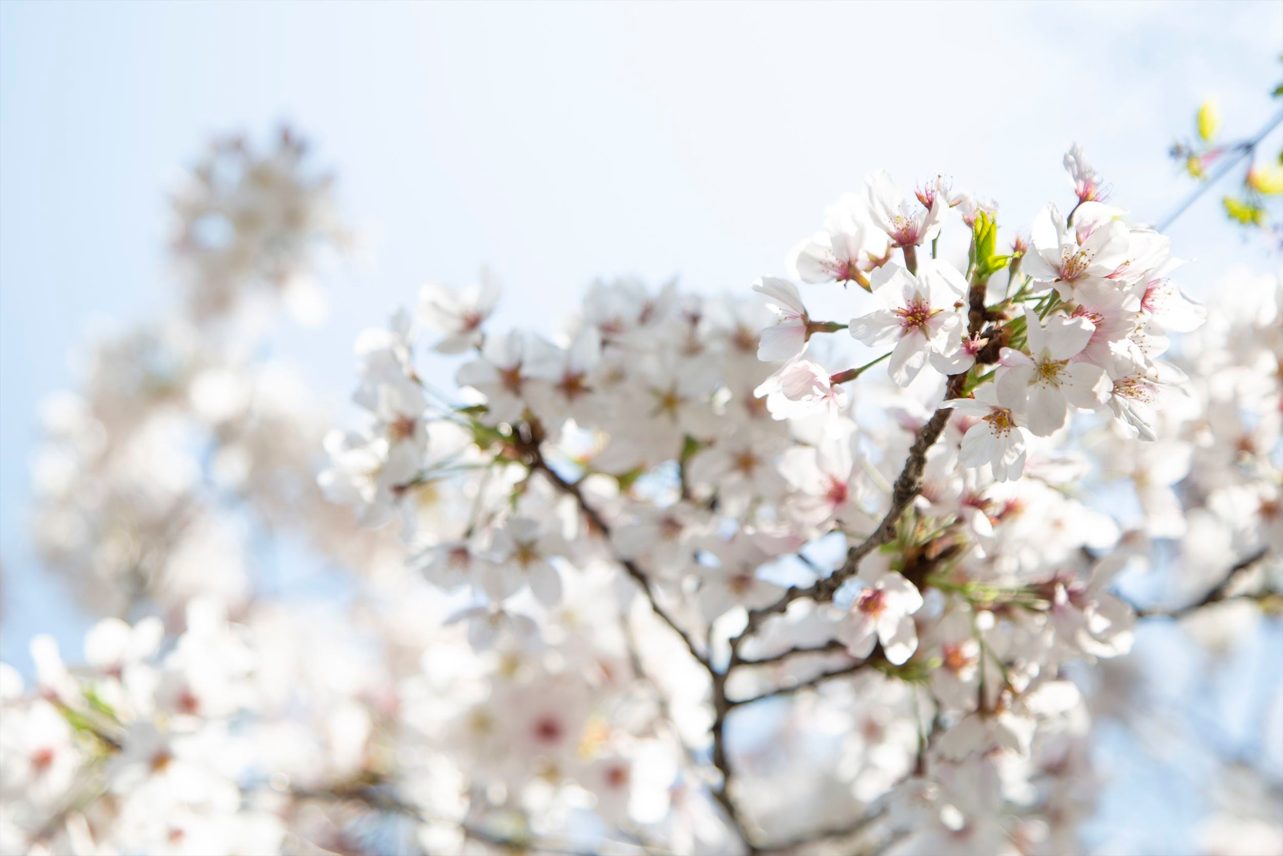 ※写真はイメージです