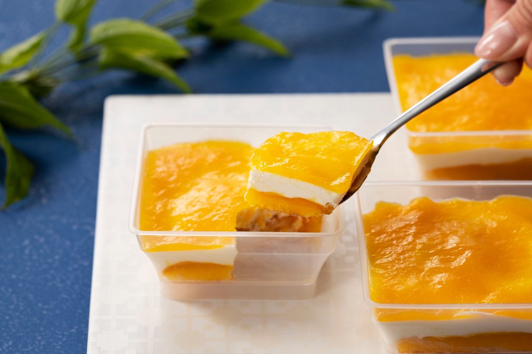 ※写真はイメージです