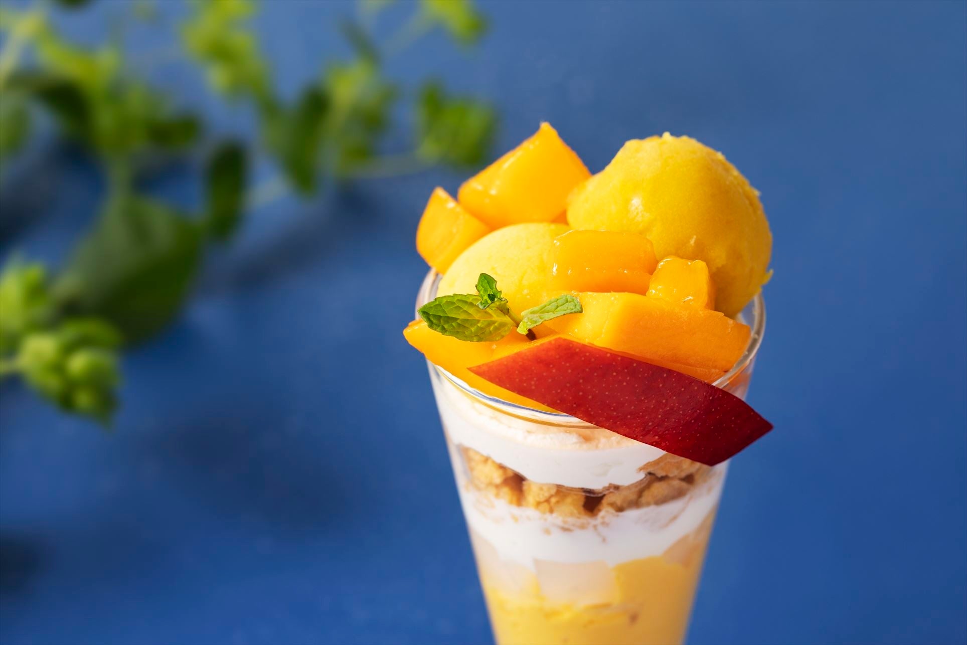 ※写真はイメージです