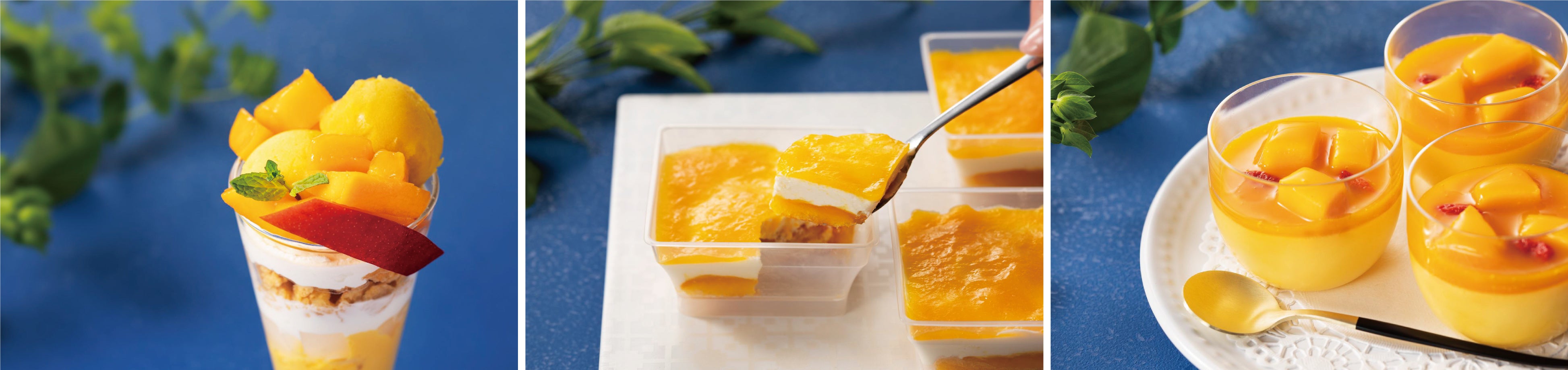 ※写真はイメージです