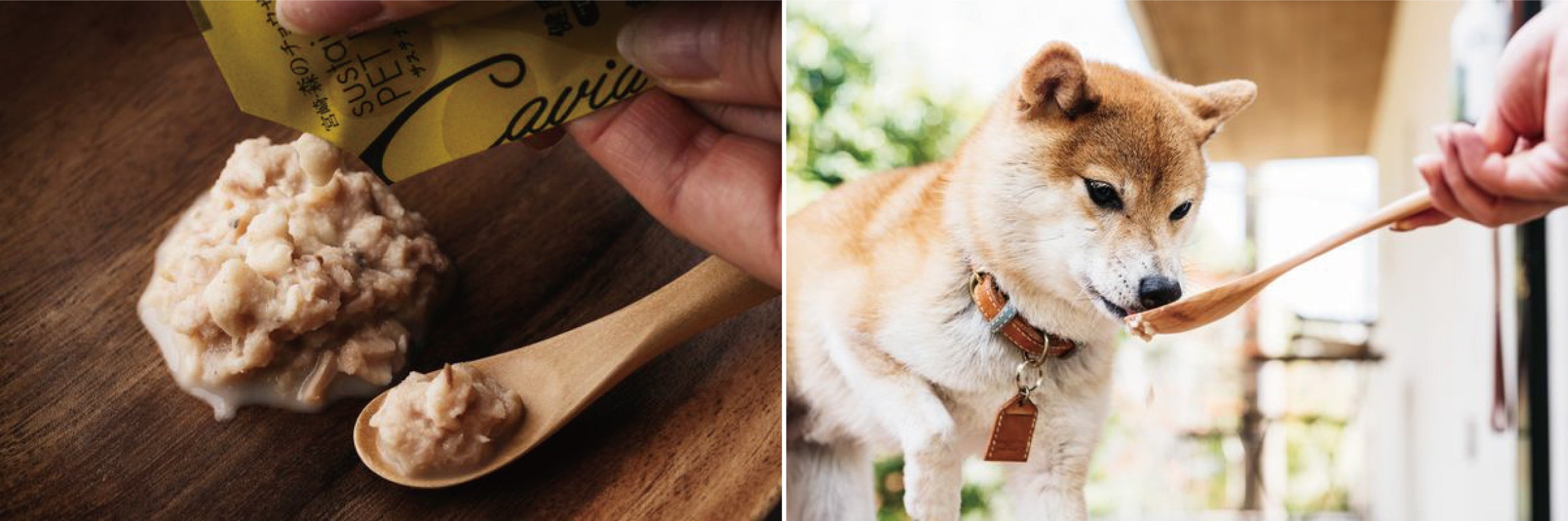 ※写真はイメージです