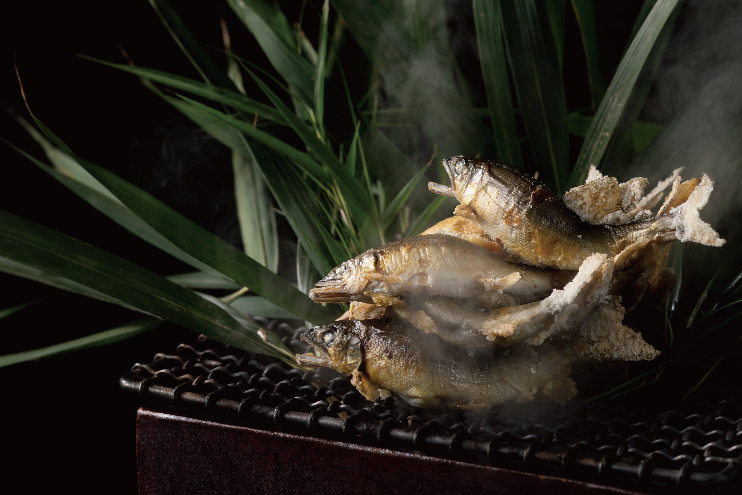 ※写真はイメージです