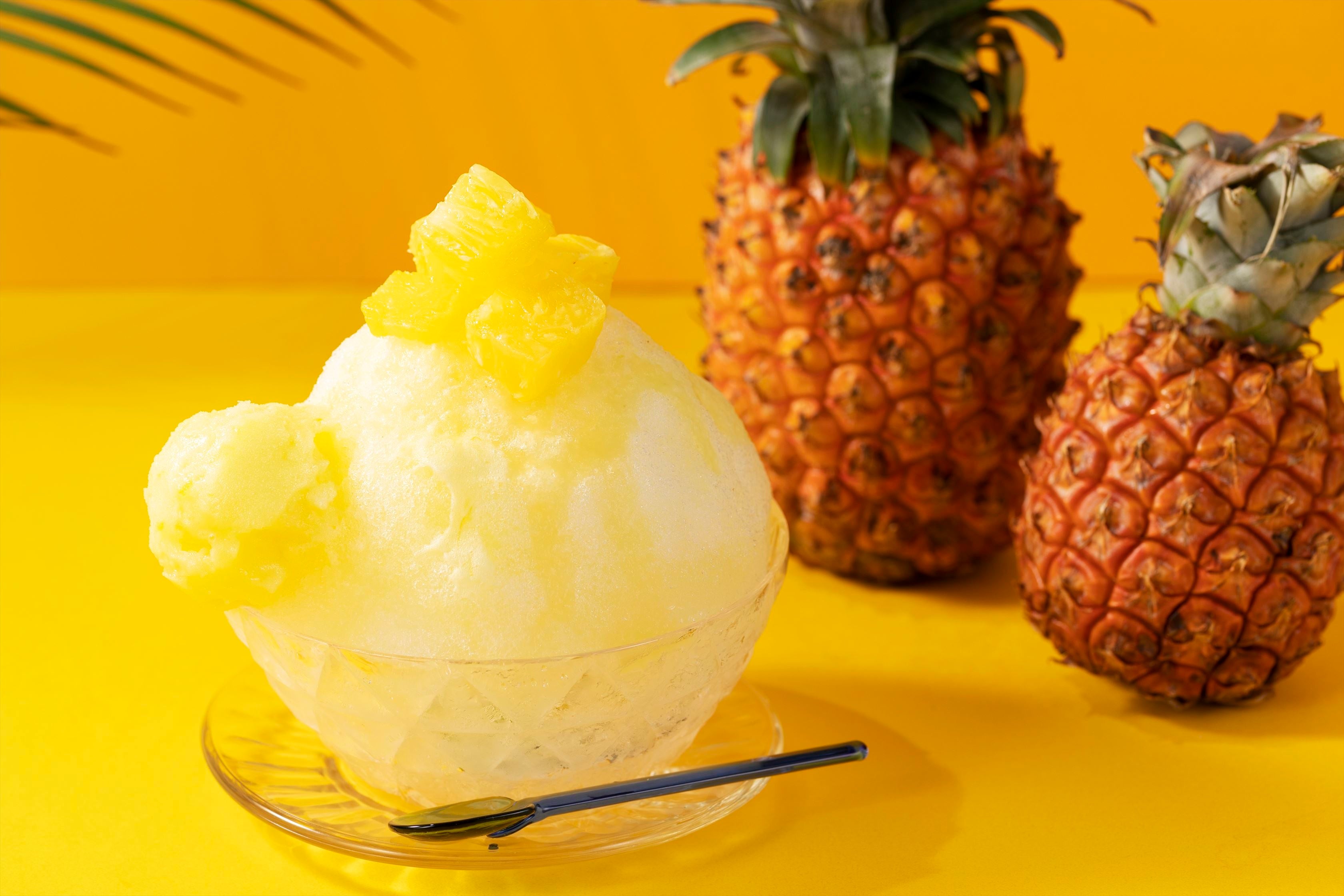 ※写真はイメージです