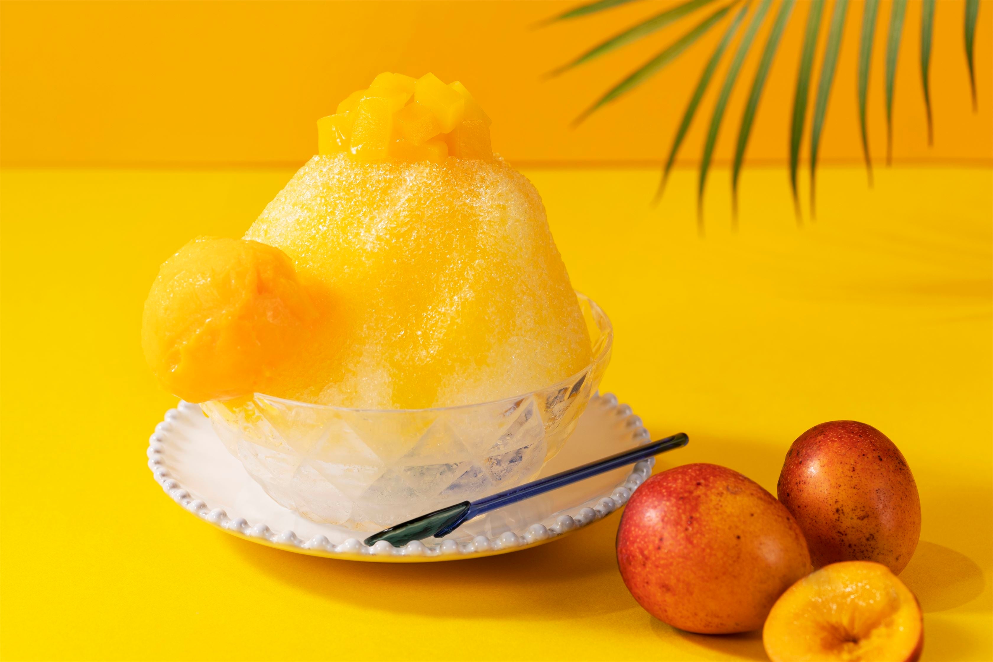 ※写真はイメージです