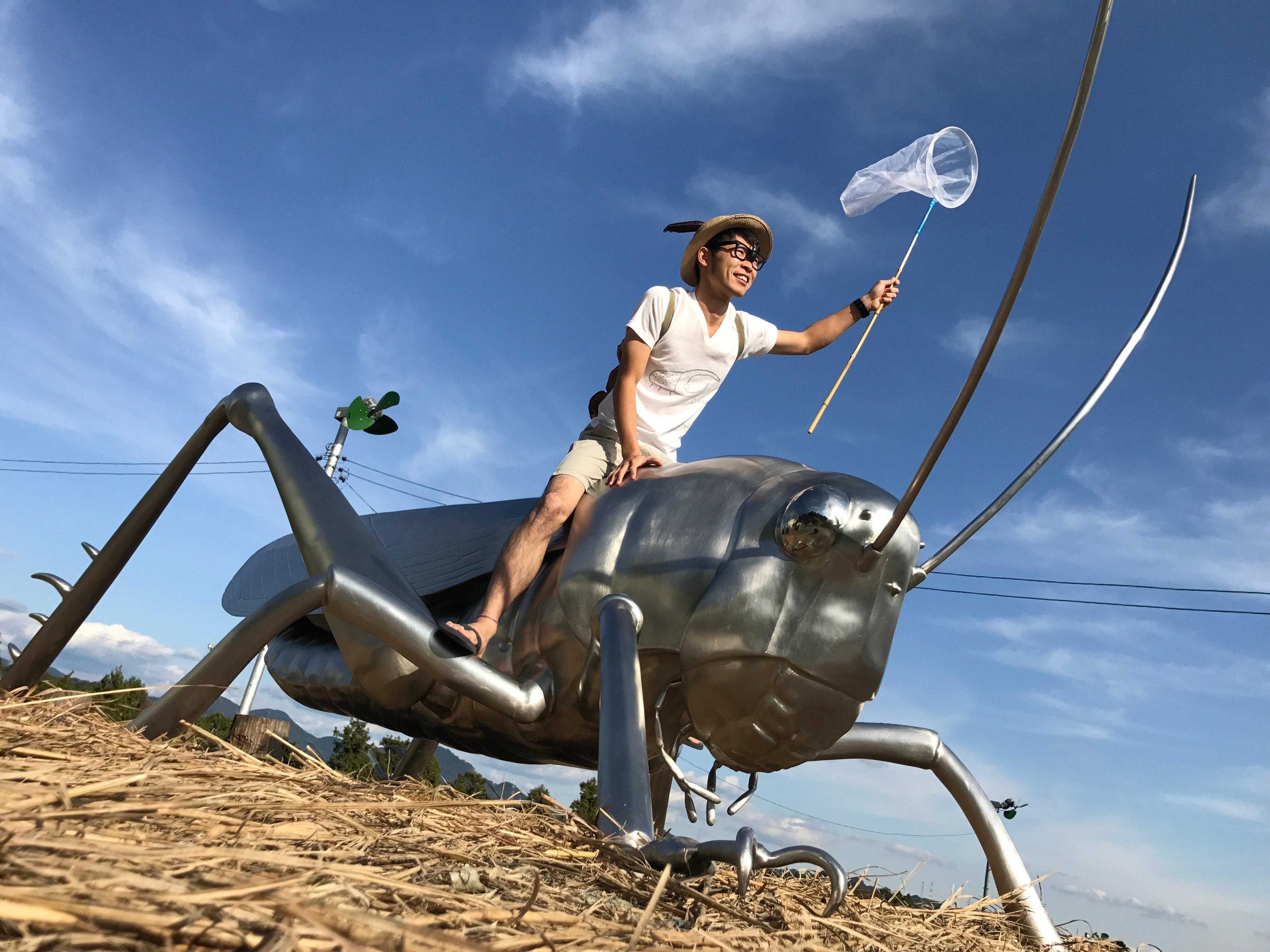 竜洋昆虫自然観察公園　こんちゅうクン