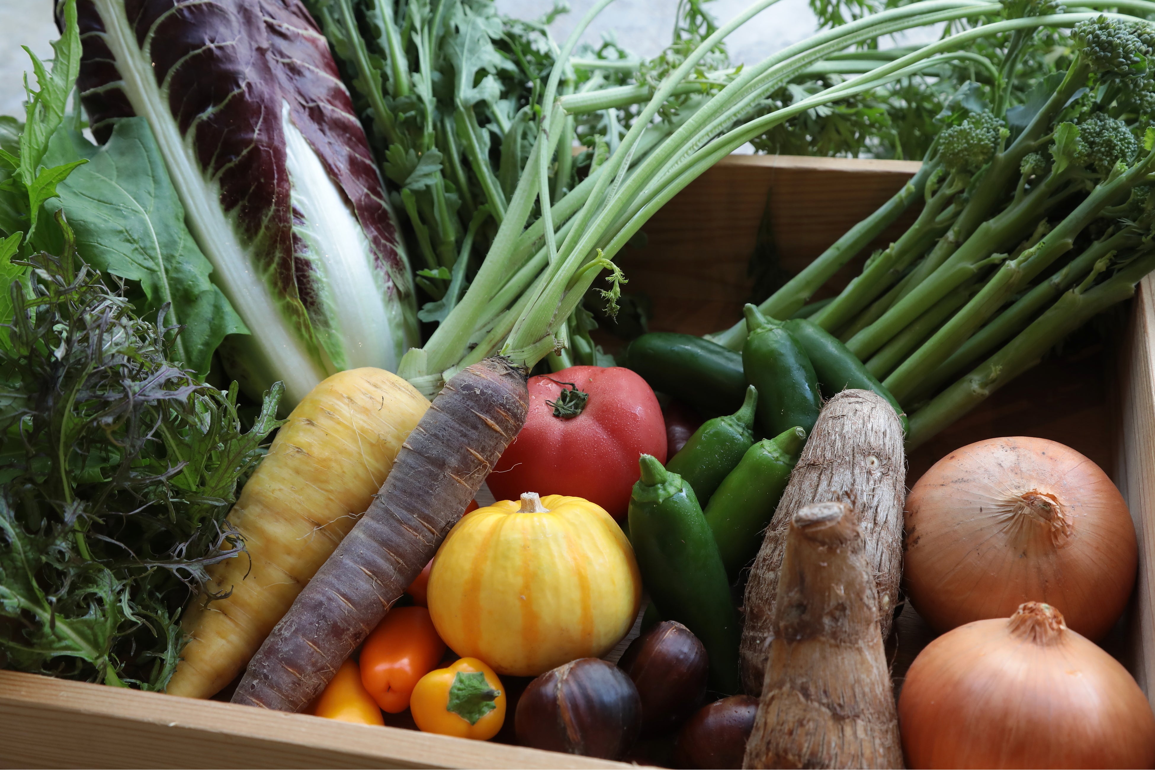 ※写真はイメージです