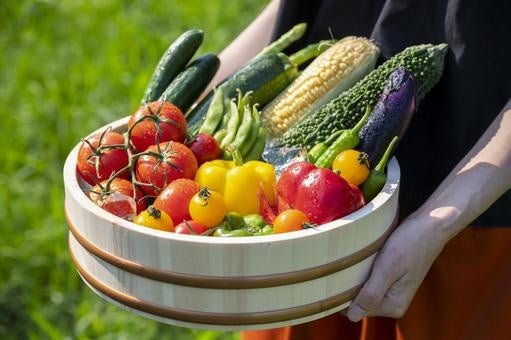 ※写真はイメージです