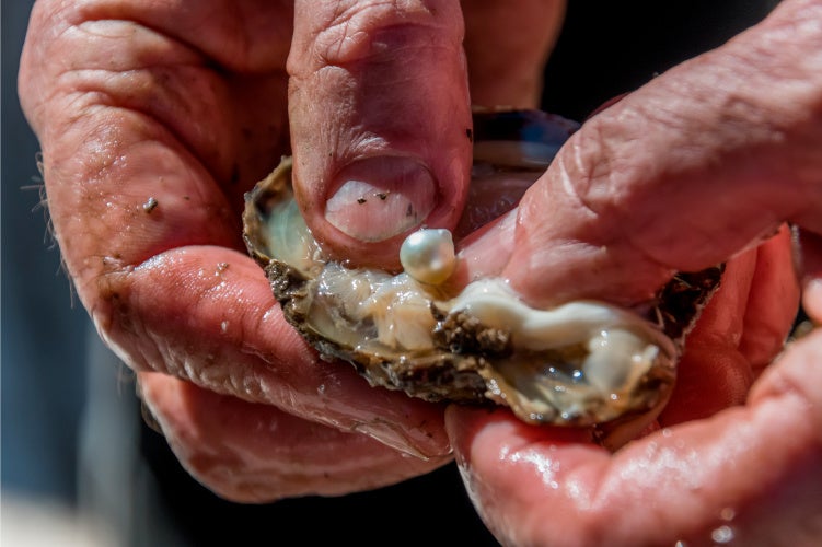 ※写真はイメージです